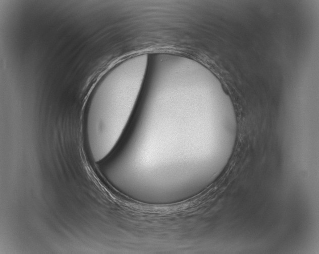 X0000058100002200509230806