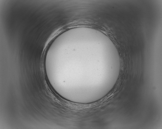 X0000058100004200509230806