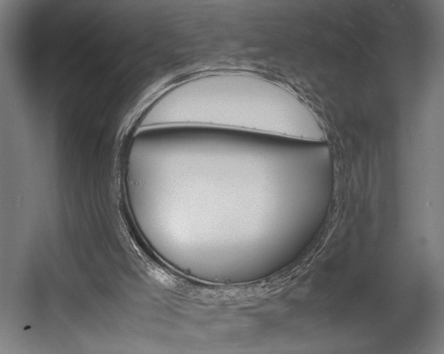 X0000058100005200509230806