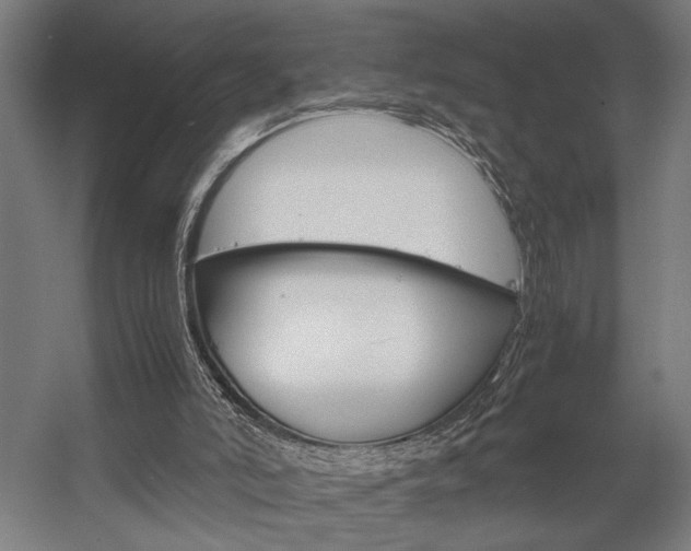 X0000058100006200509230806