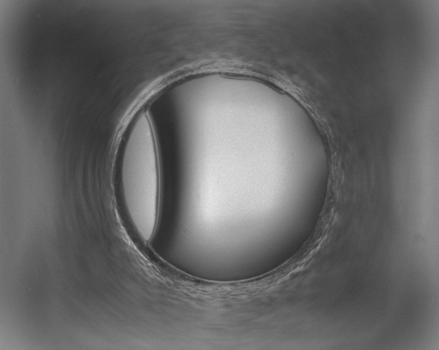 X0000058100007200509230806