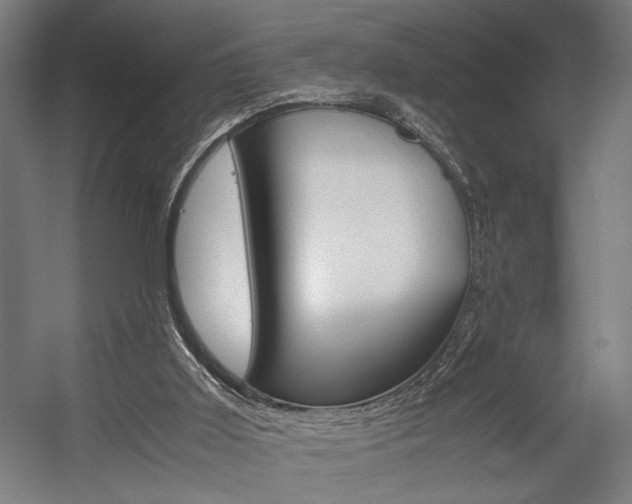 X0000058100011200509230806