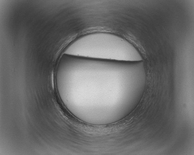 X0000058100014200509230806
