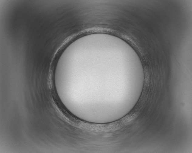 X0000058100016200509230806