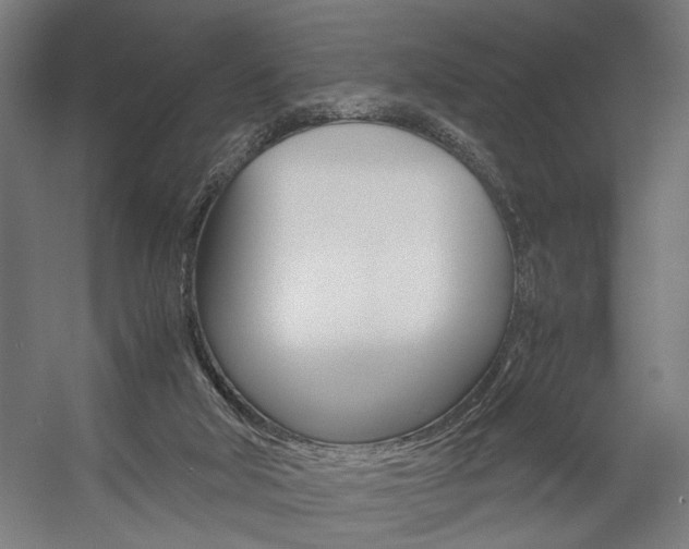 X0000058100018200509230806
