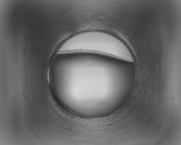 X0000058100019200509230806