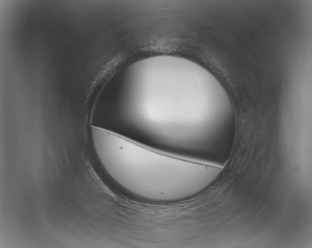 X0000058100020200509230806