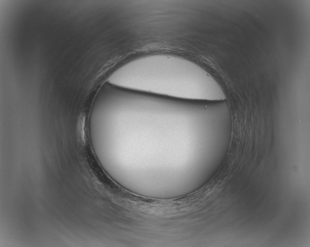 X0000058100024200509230806