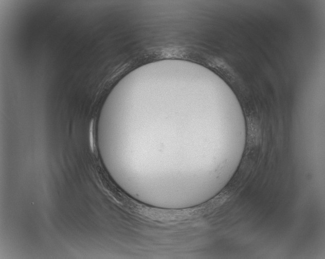 X0000058100028200509230806