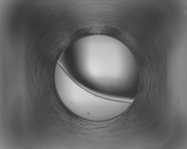 X0000058100031200509230806