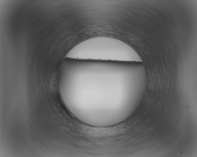 X0000058100034200509230805