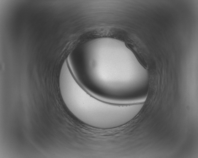 X0000058100035200509230805