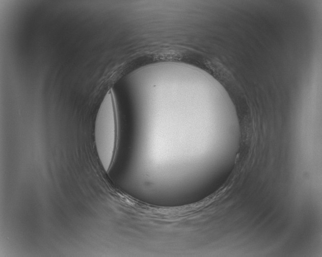 X0000058100041200509230805
