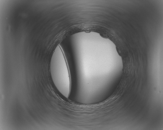 X0000058100044200509230805
