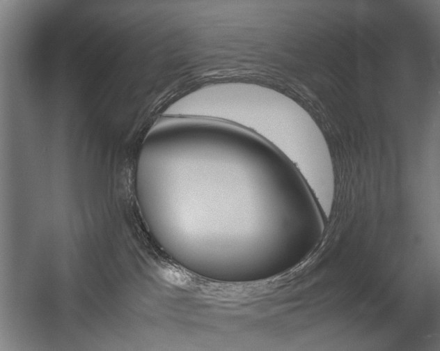 X0000058100045200509230805