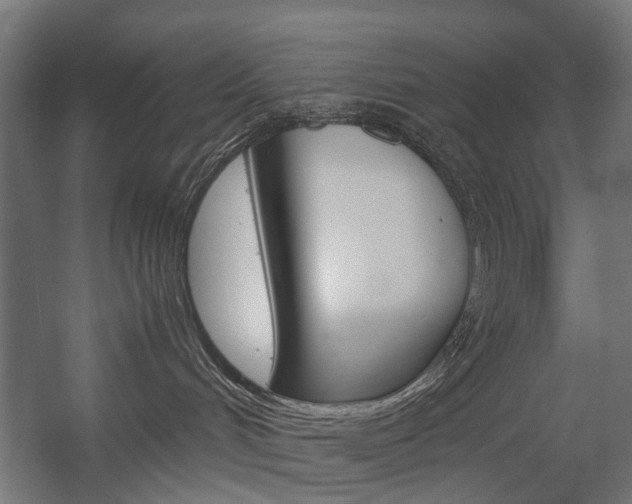X0000058100048200509230805