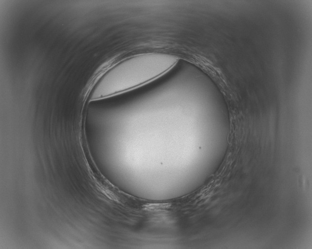 X0000058100051200509230804