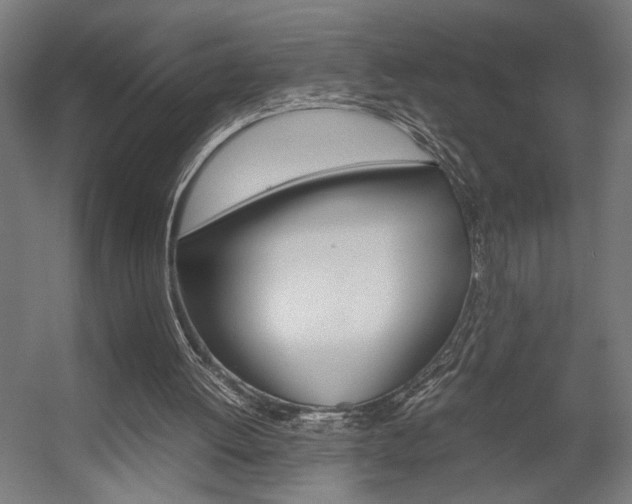 X0000058100052200509230804