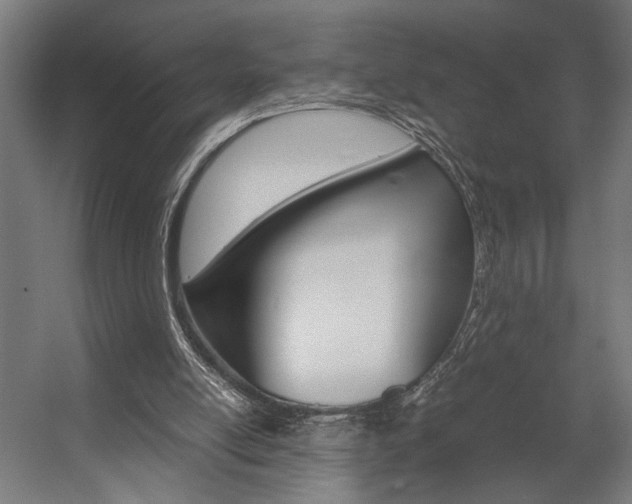 X0000058100054200509230805