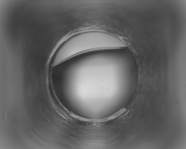 X0000058100056200509230805