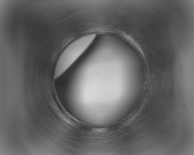 X0000058100057200509230805