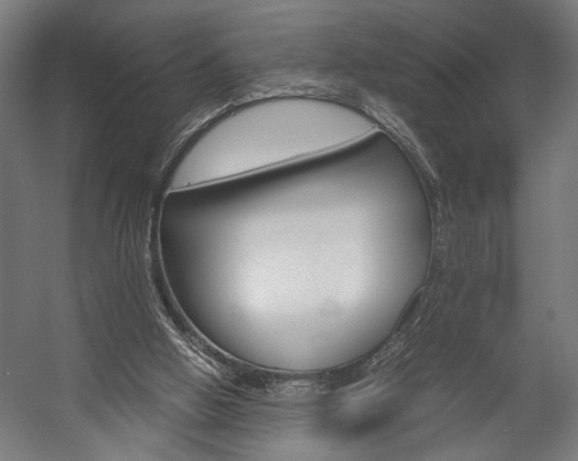 X0000058100058200509230805