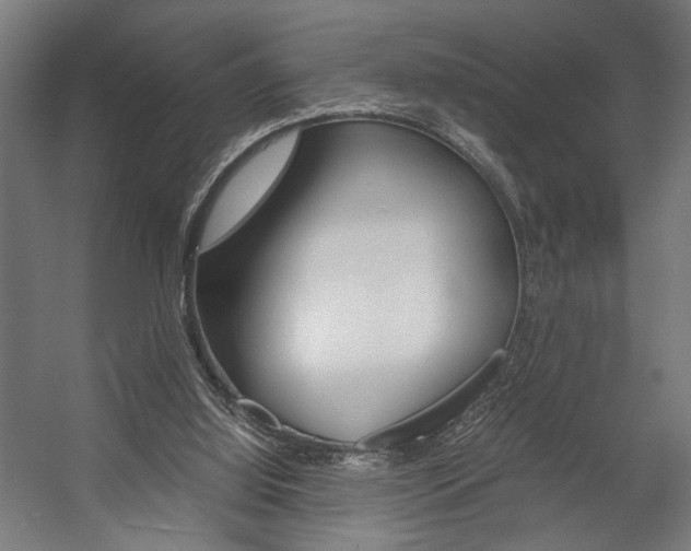 X0000058100060200509230805