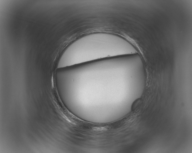 X0000058100061200509230805