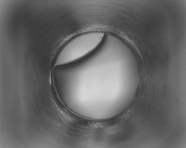 X0000058100062200509230805