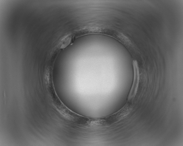 X0000058100072200509230805