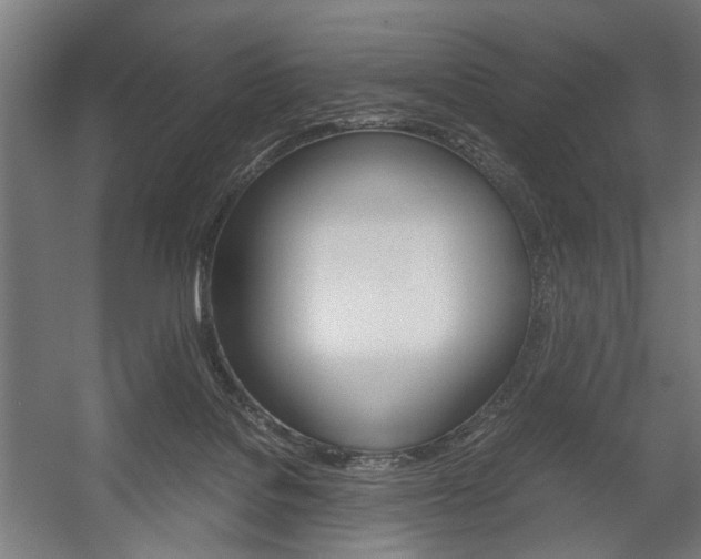 X0000058100076200509230805