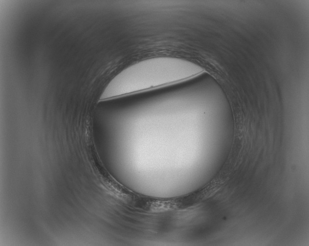 X0000058100077200509230805