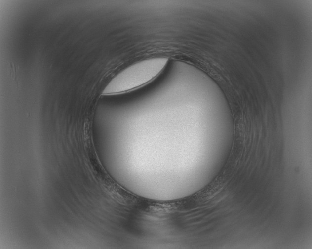 X0000058100079200509230805