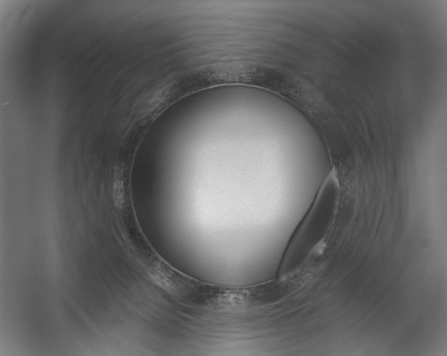 X0000058100080200509230805