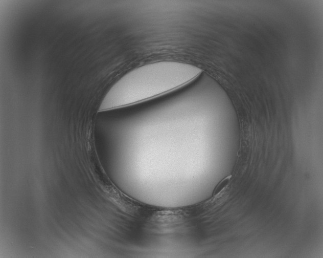 X0000058100082200509230805
