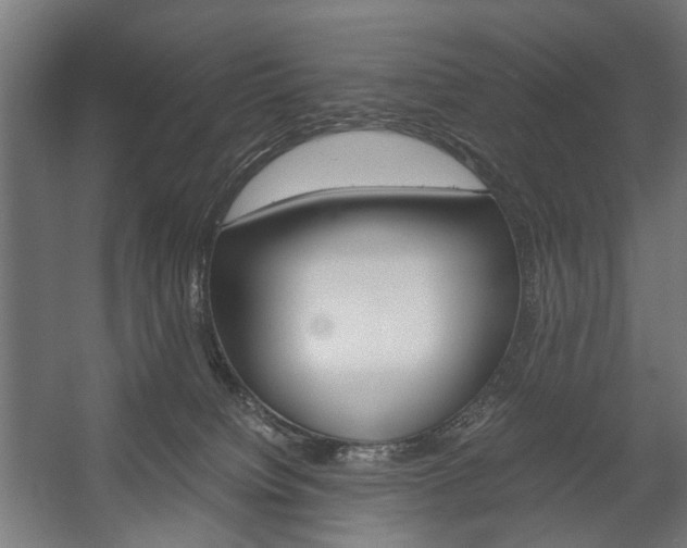 X0000058100084200509230805