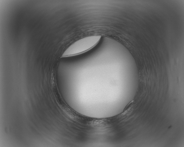X0000058100086200509230805