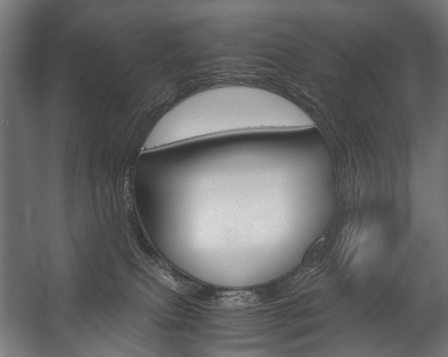 X0000058100087200509230805