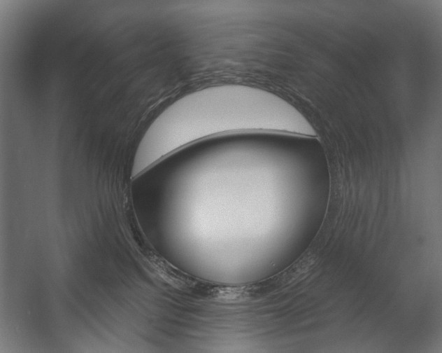 X0000058100088200509230805