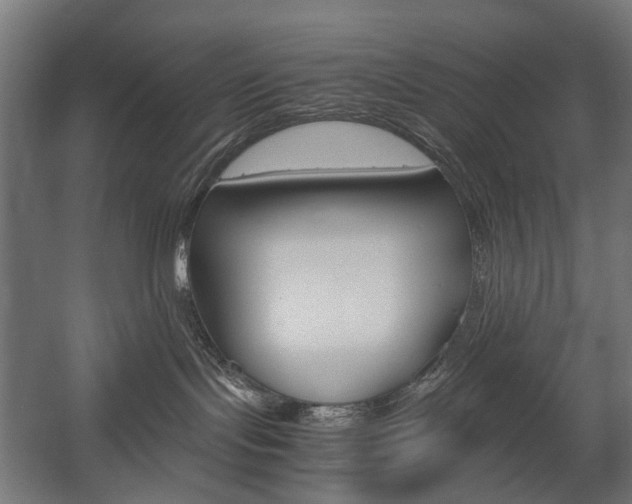 X0000058100095200509230805