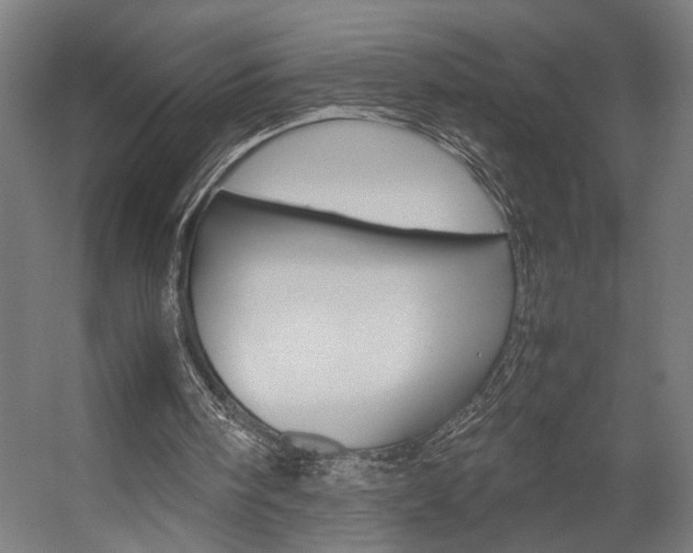 X0000058100098200509230804