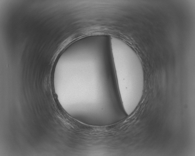 X0000058100099200509230804