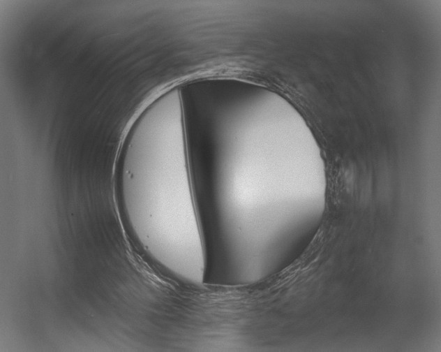 X0000058100100200509230804