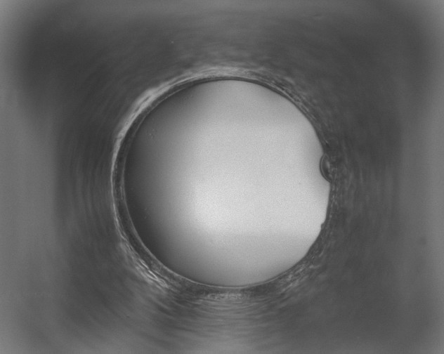 X0000058100104200509230804