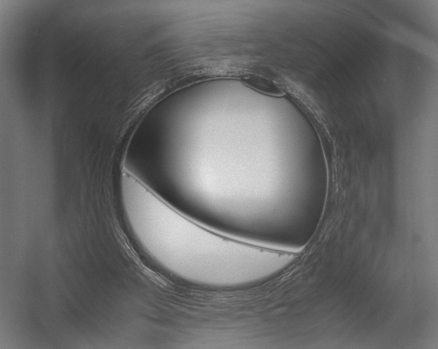 X0000058100105200509230804