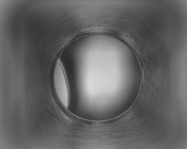 X0000058100109200509230804