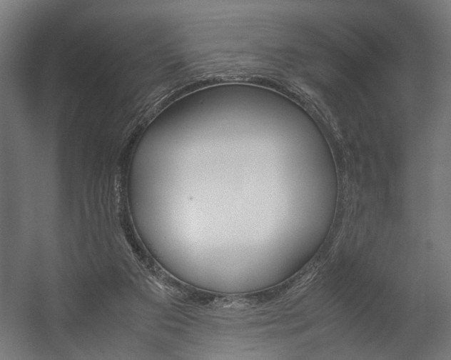 X0000058100113200509230804