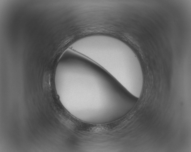 X0000058100115200509230804