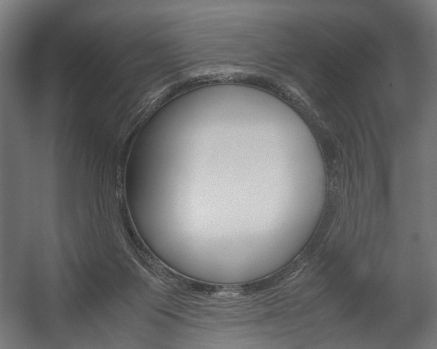 X0000058100119200509230804