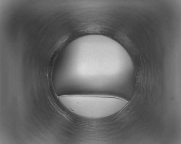 X0000058100120200509230804